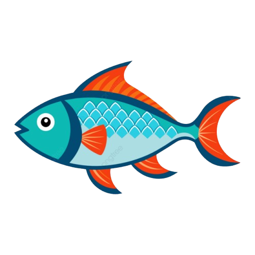 Category Image
